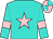 Turquoise, pink star, pink armlets on sleeves, pink and turquoise quartered cap (Messineo, Nancy And Sands, Bruce)