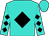 Turquoise, black diamond, black diamonds on sleeves, turquoise cap (Rockingham Ranch)